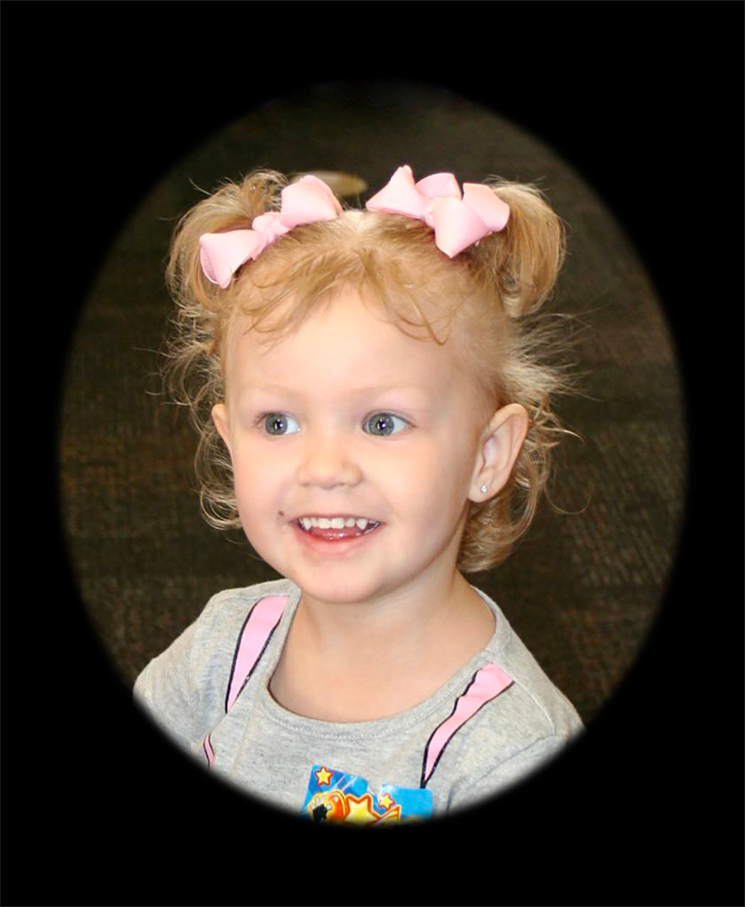 WD2U Baby Girls Set of 2 Small Grosgrain 3" Pigtail Hair Bows Alligator Clips